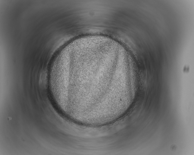 X0000096700016200802261616