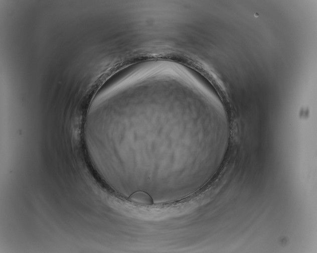 X0000096700018200802261616