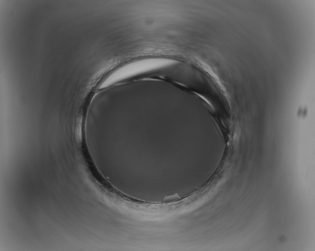 X0000096700019200802261616