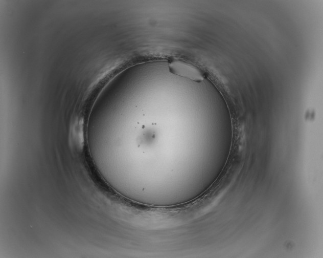 X0000096700020200802261616