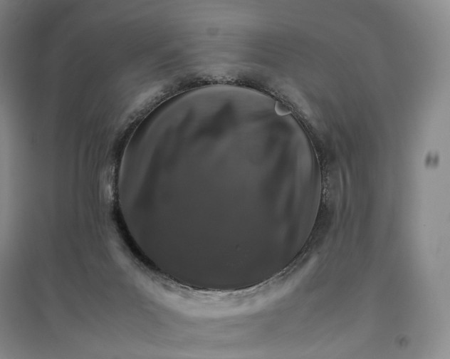 X0000096700023200802261616