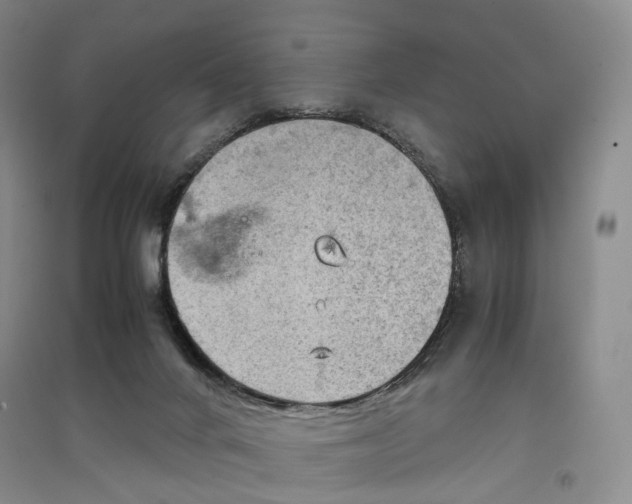 X0000096700024200802261616