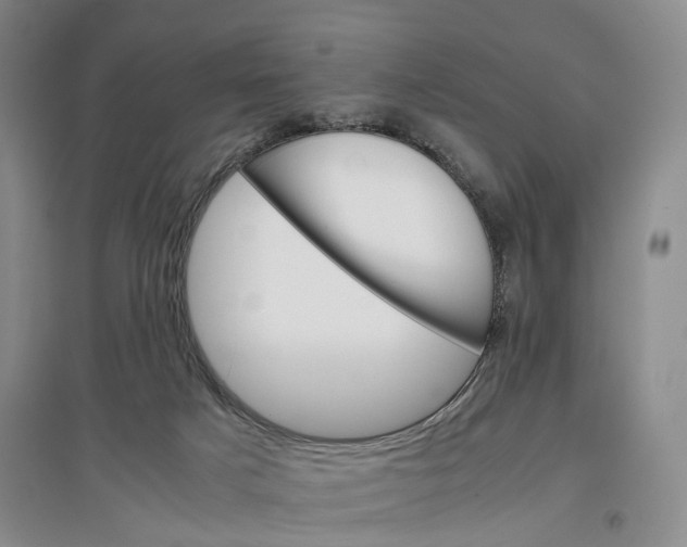 X0000096700025200802261616