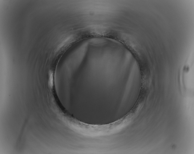 X0000096700027200802261616