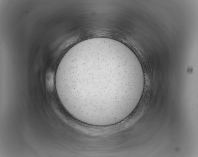 X0000096700028200802261616