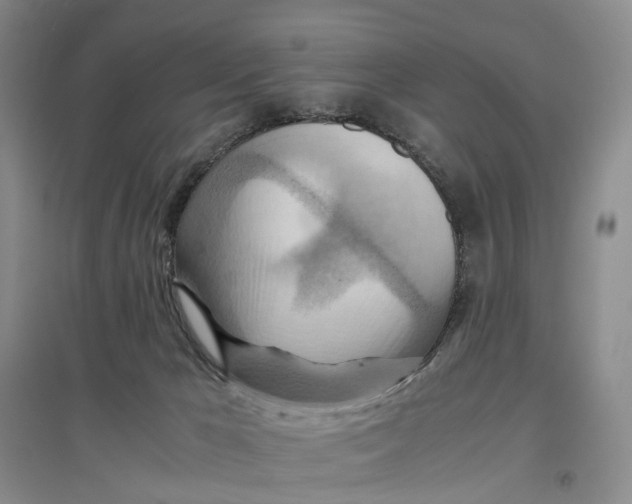 X0000096700029200802261616