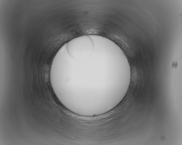 X0000096700030200802261616