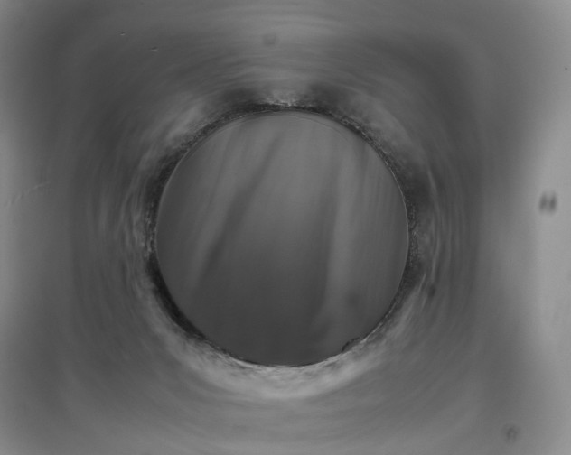 X0000096700031200802261616