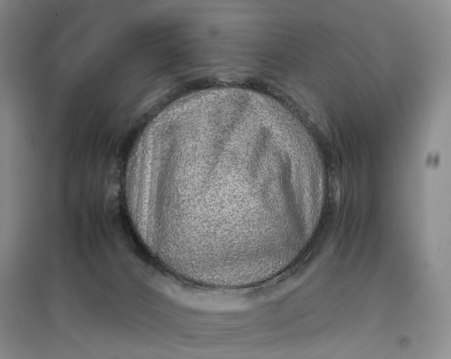 X0000096700032200802261616