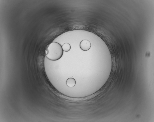 X0000096700034200802261616