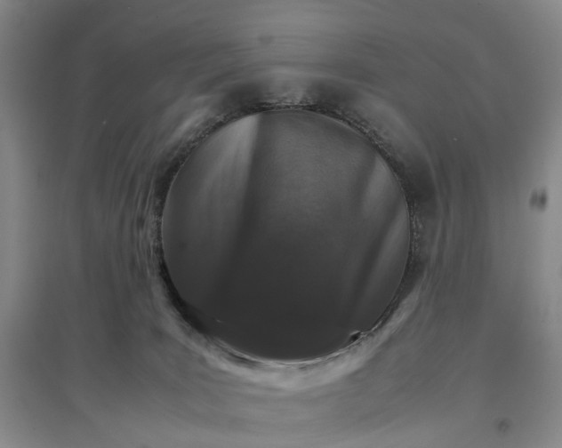 X0000096700035200802261615