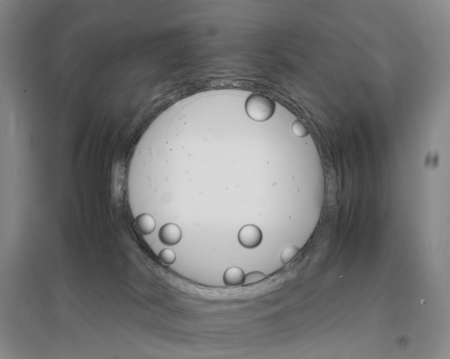 X0000096700038200802261615