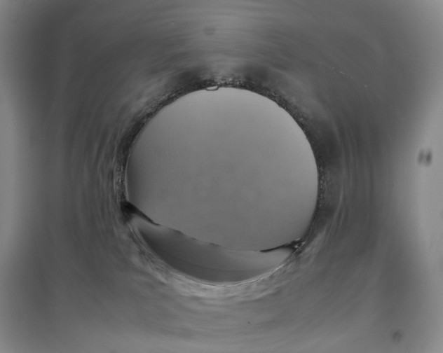 X0000096700039200802261615