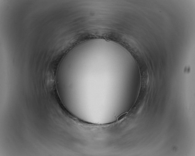 X0000096700040200802261615