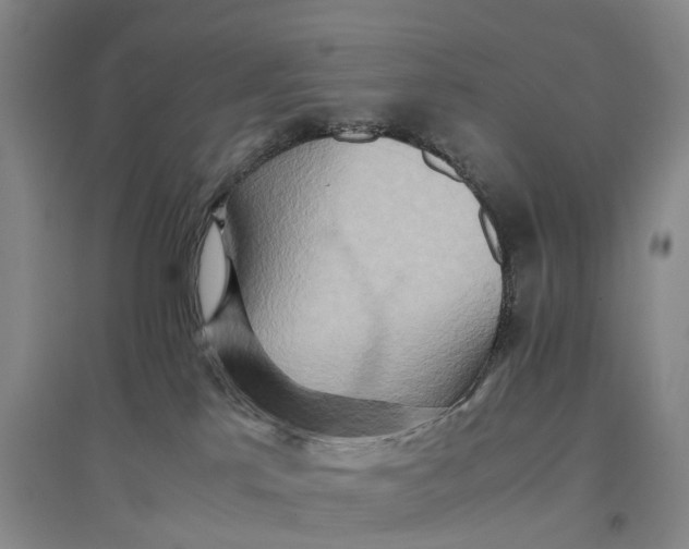 X0000096700041200802261615