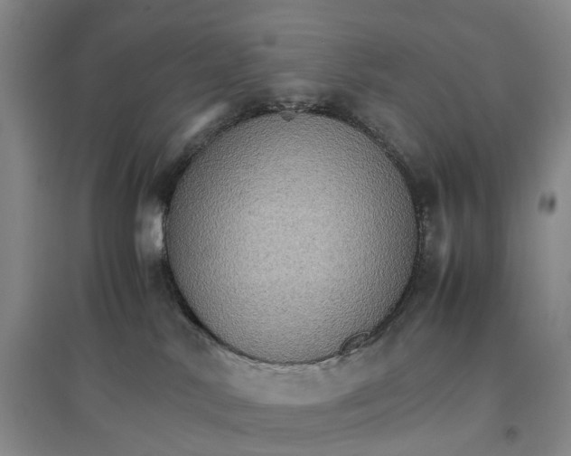 X0000096700042200802261615