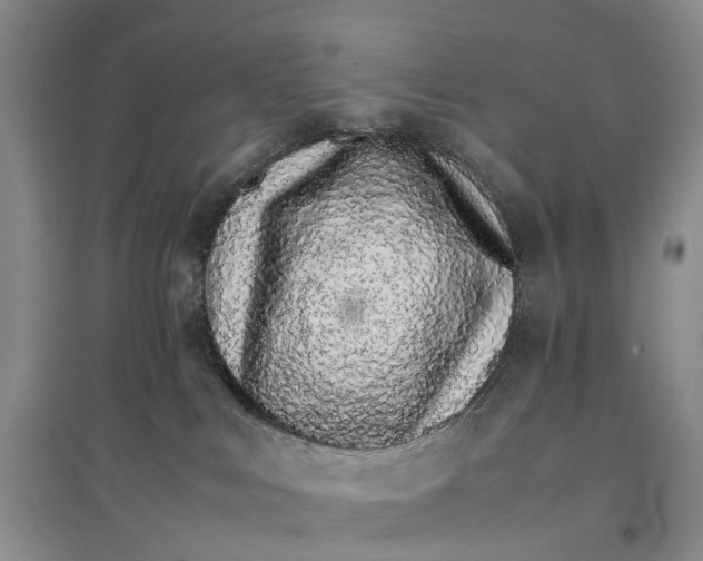 X0000096700043200802261615