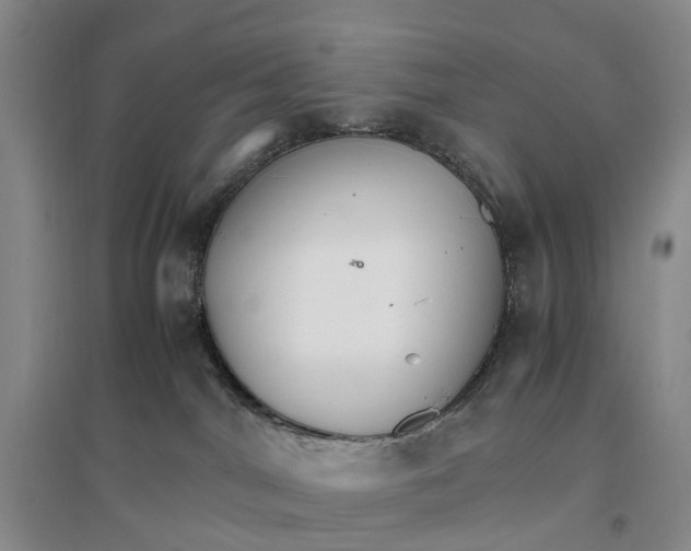 X0000096700044200802261615