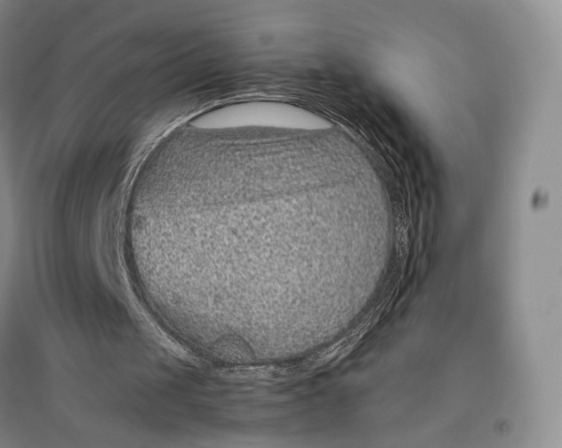 X0000096700049200802261615