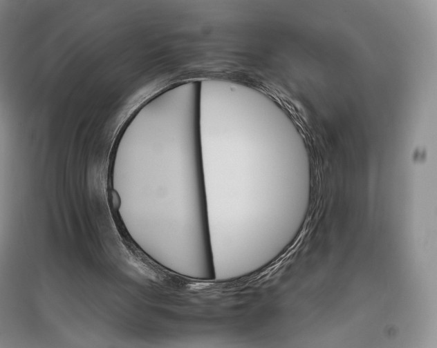X0000096700051200802261615