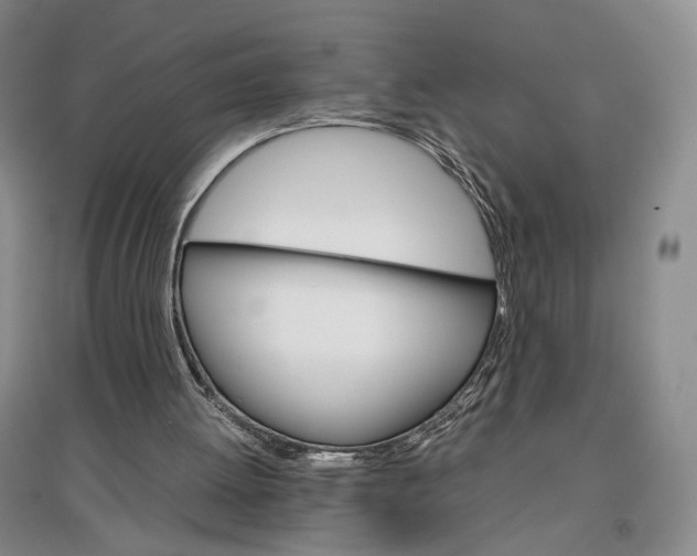 X0000096700052200802261615