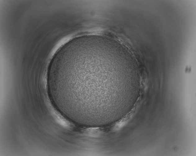 X0000096700054200802261615
