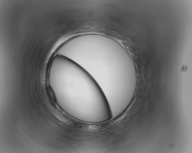 X0000096700056200802261615