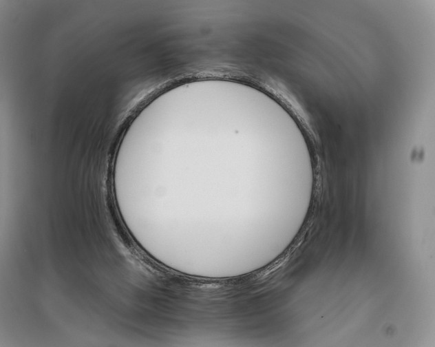 X0000096700058200802261615