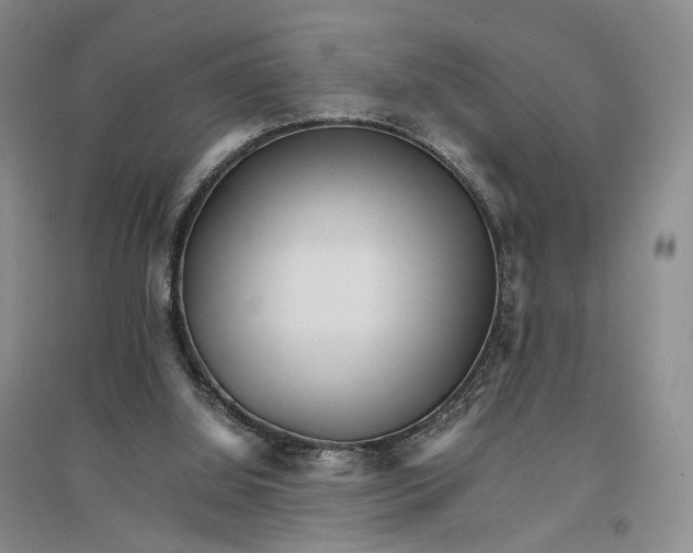 X0000096700060200802261615