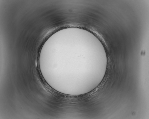 X0000096700062200802261615