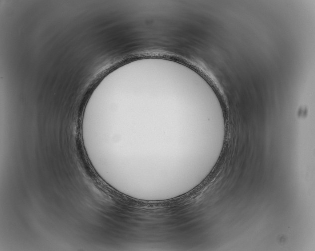 X0000096700063200802261615