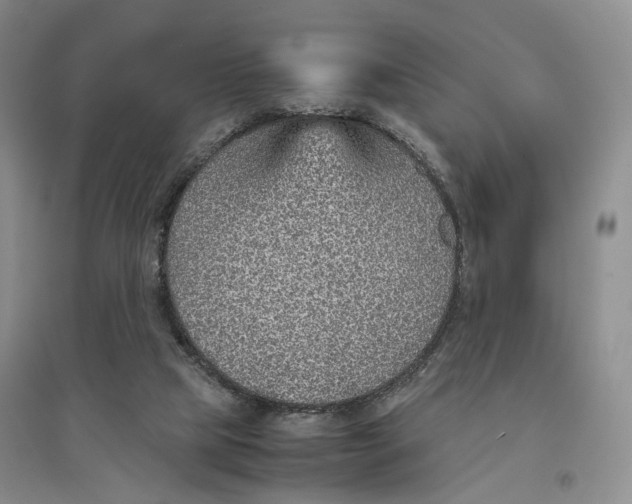X0000096700065200802261615