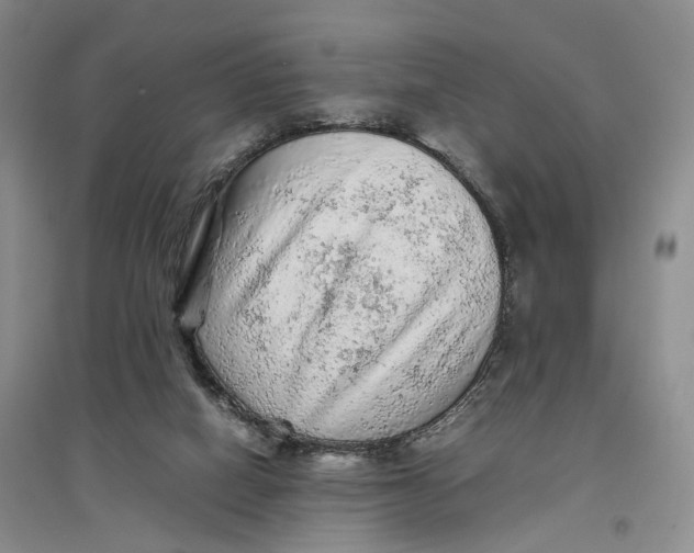 X0000096700066200802261615