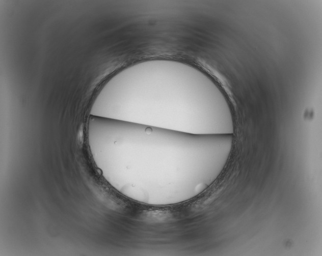 X0000096700067200802261615