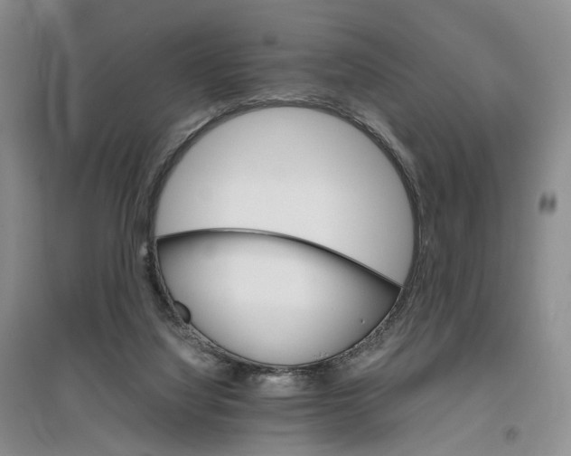 X0000096700068200802261615