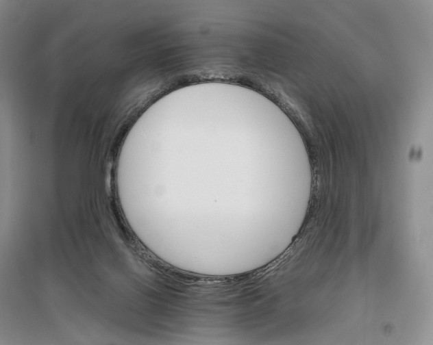 X0000096700070200802261615
