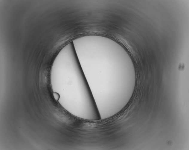 X0000096700071200802261615
