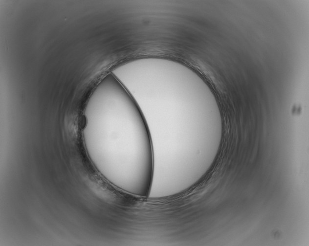 X0000096700072200802261615