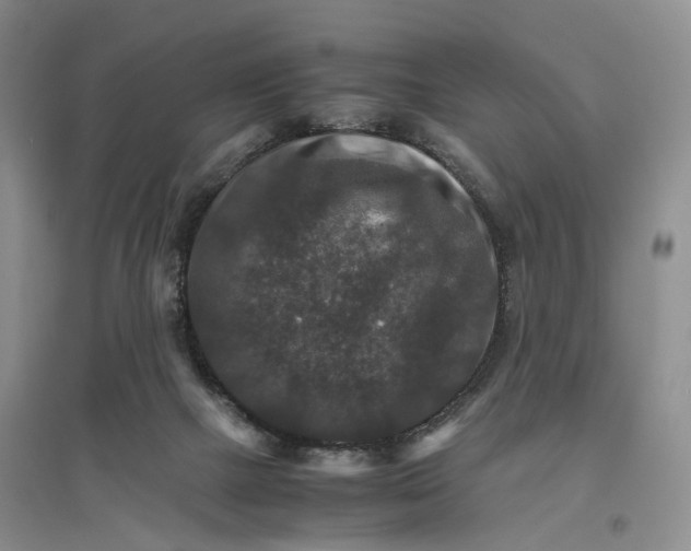 X0000096700073200802261615