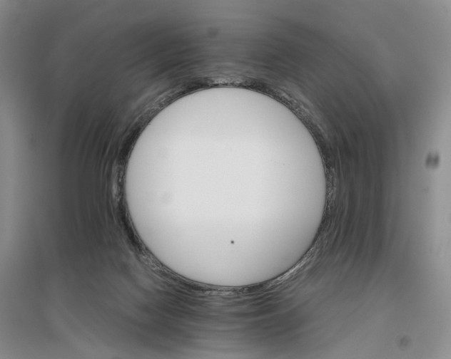 X0000096700074200802261615
