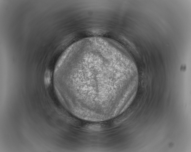 X0000096700075200802261615