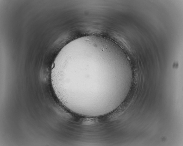 X0000096700077200802261615