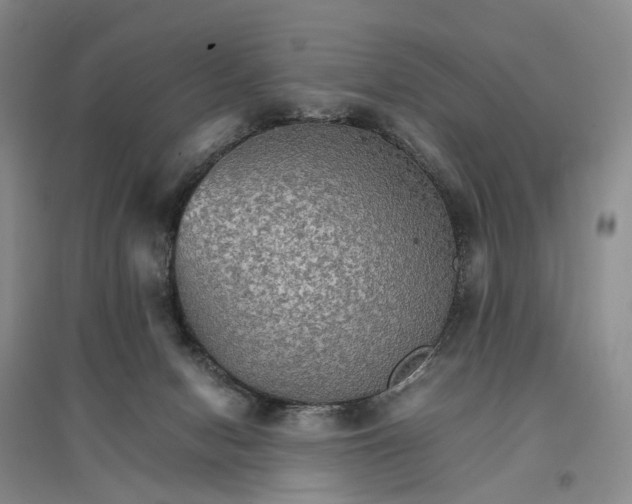 X0000096700078200802261615