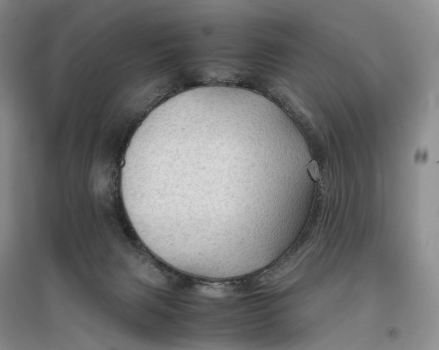 X0000096700079200802261615