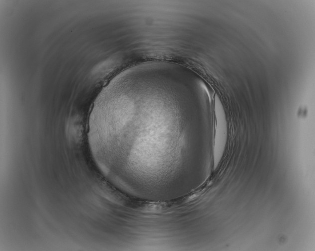 X0000096700080200802261615