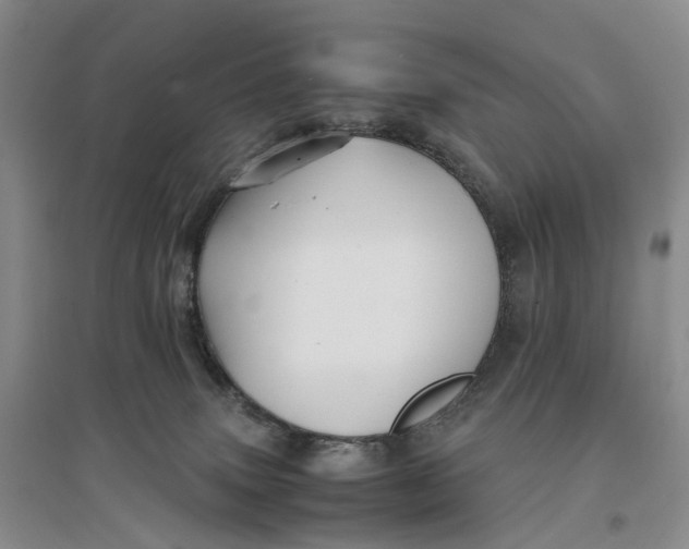 X0000096700083200802261615