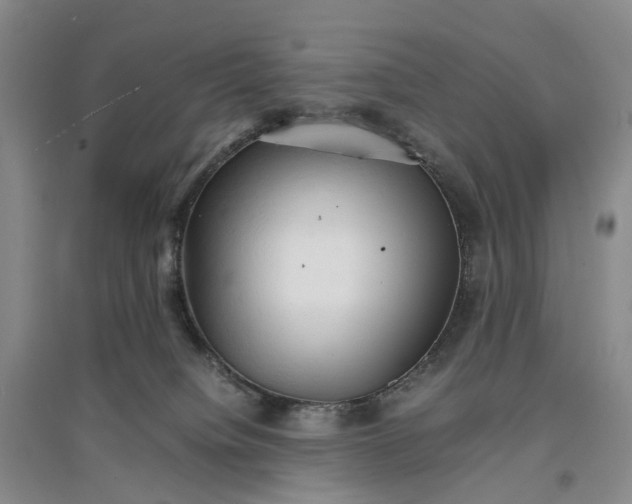 X0000096700084200802261615