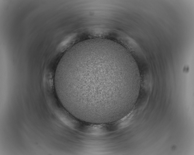 X0000096700086200802261615