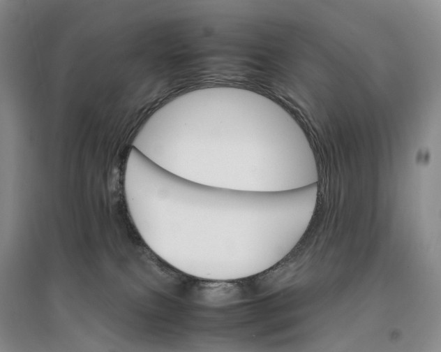 X0000096700087200802261615
