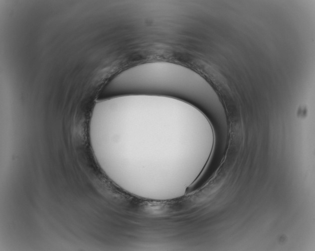 X0000096700088200802261615